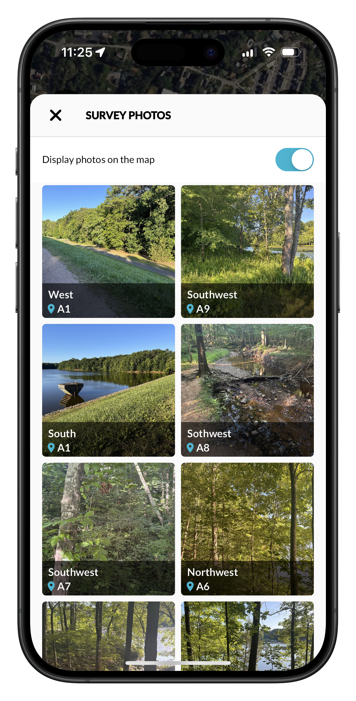 IMG_7611 3-portrait.png