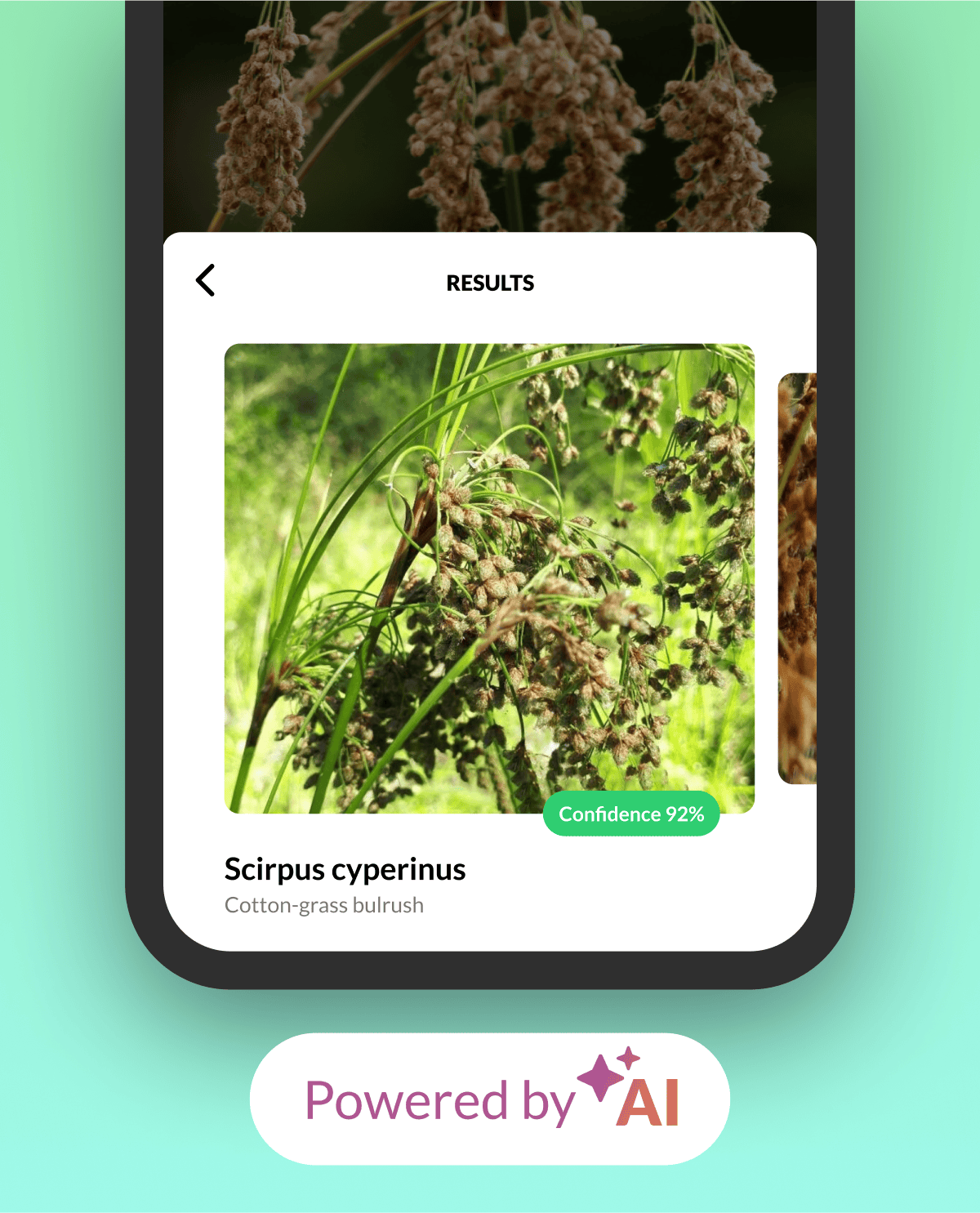 Vegetation Lookup Powered by AI.png