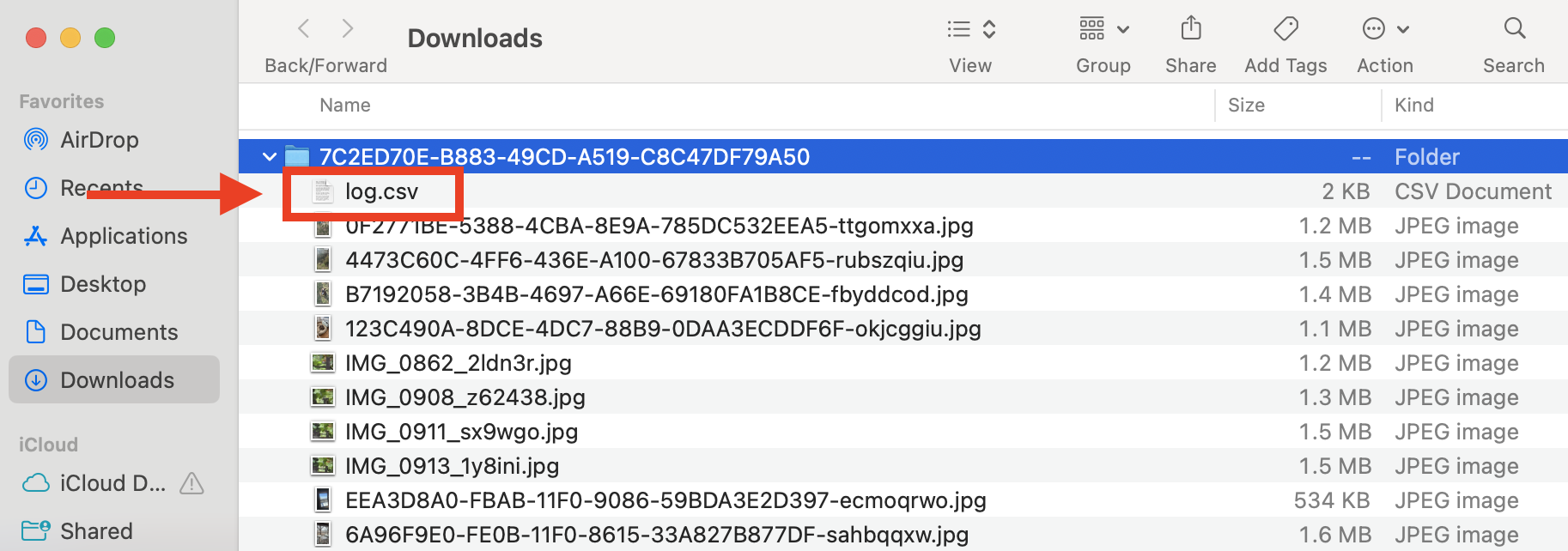 Screenshot 2026-02-04 at 12.17.09 PM.png