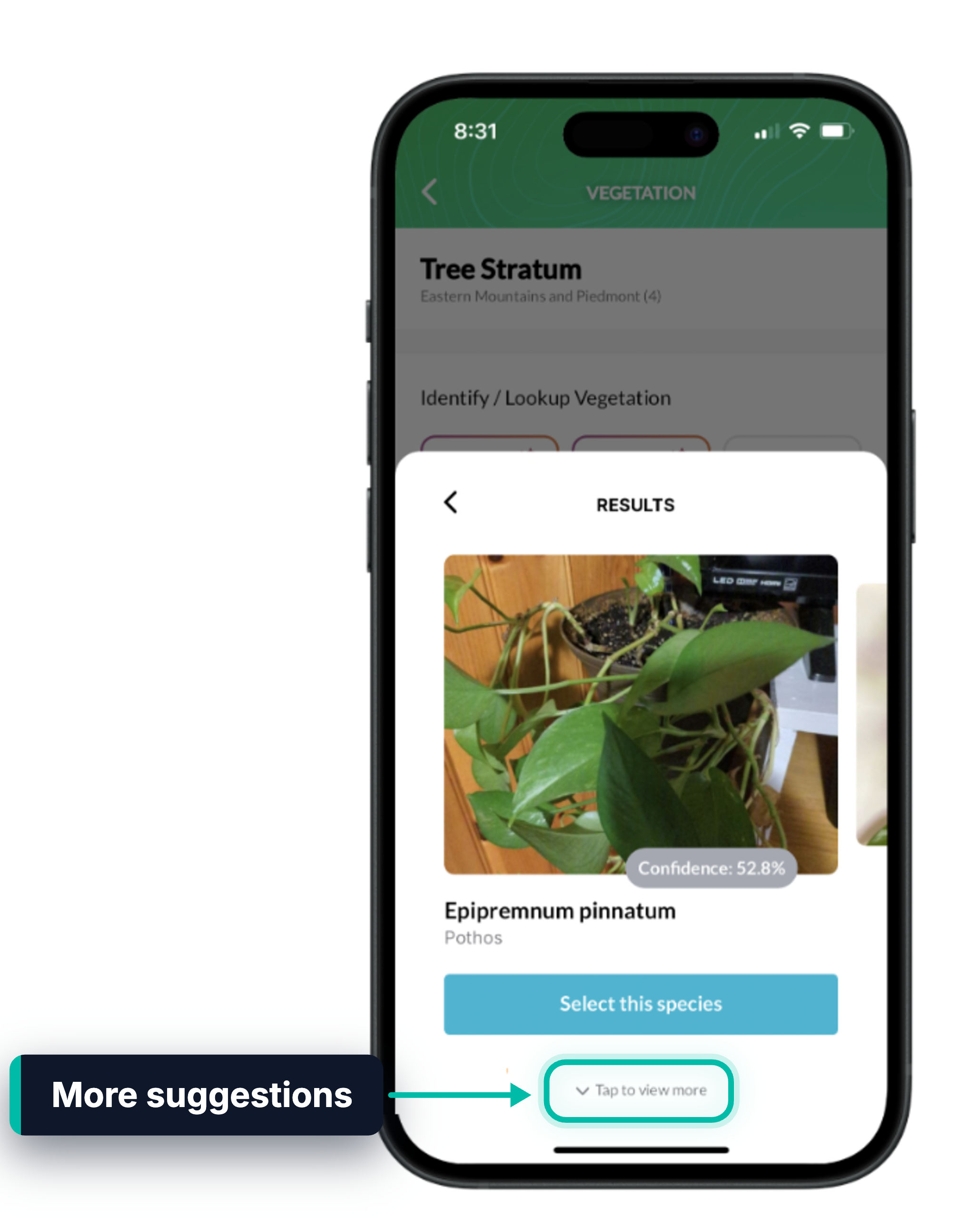 AI results in Ecobot Collector with a suggested species, its confidence level and Select this species, and Tap to view more highlighted