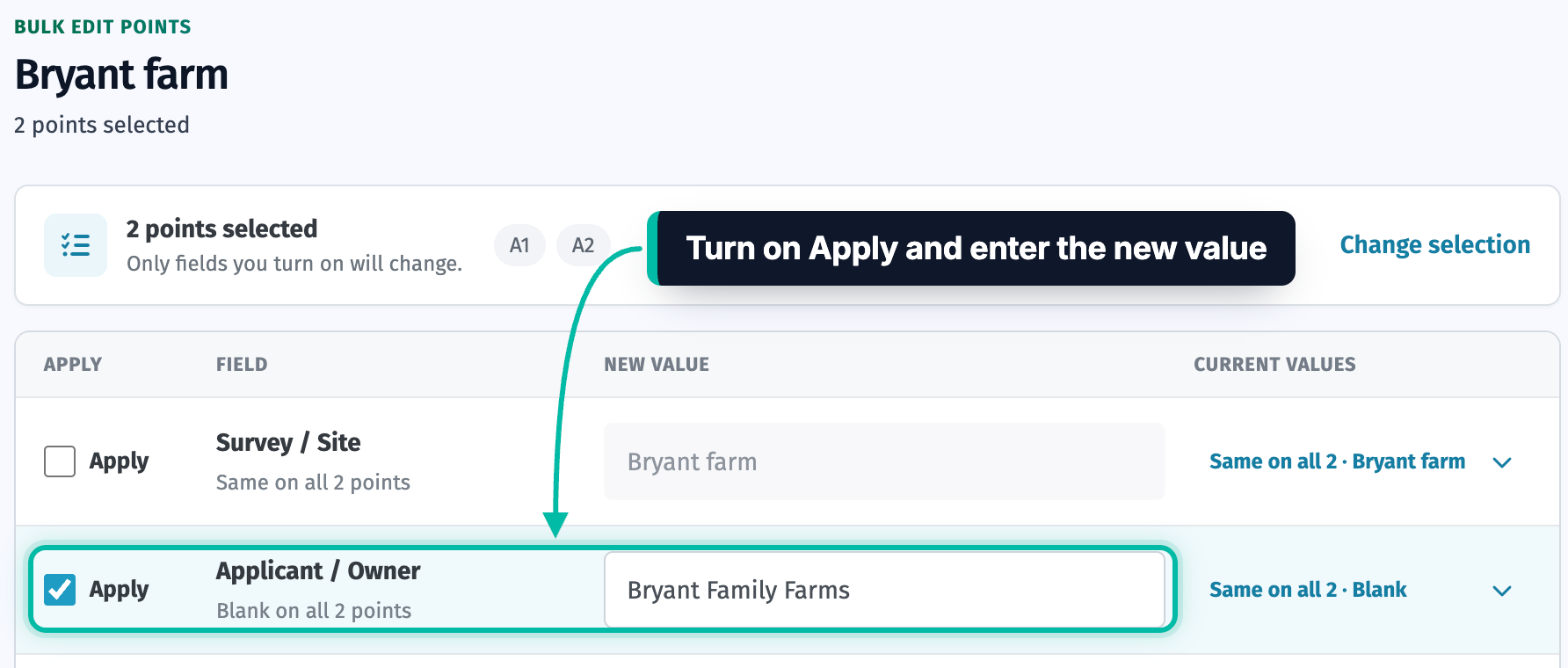 The Bulk edit points page in Ecobot Manager, with Apply turned on for Applicant / Owner and a new value entered