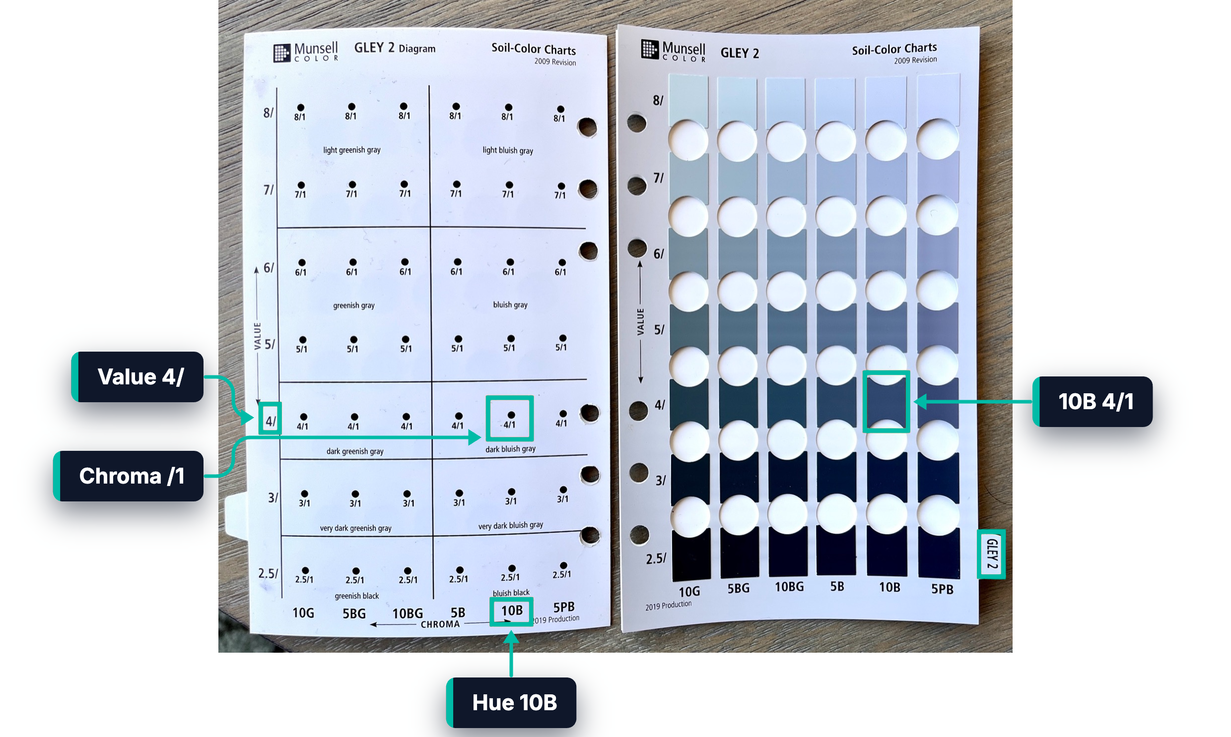 The Gley 2 diagram and chart pages of a Munsell Soil Color Book, with the 4/ value, the 4/1 chroma, the 10B hue and the matching chip highlighted