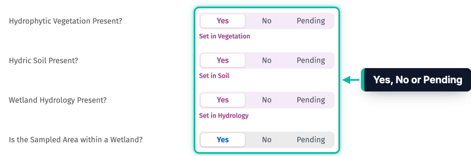 The Summary section of a point in Ecobot Manager, with Yes, No or Pending for each question highlighted