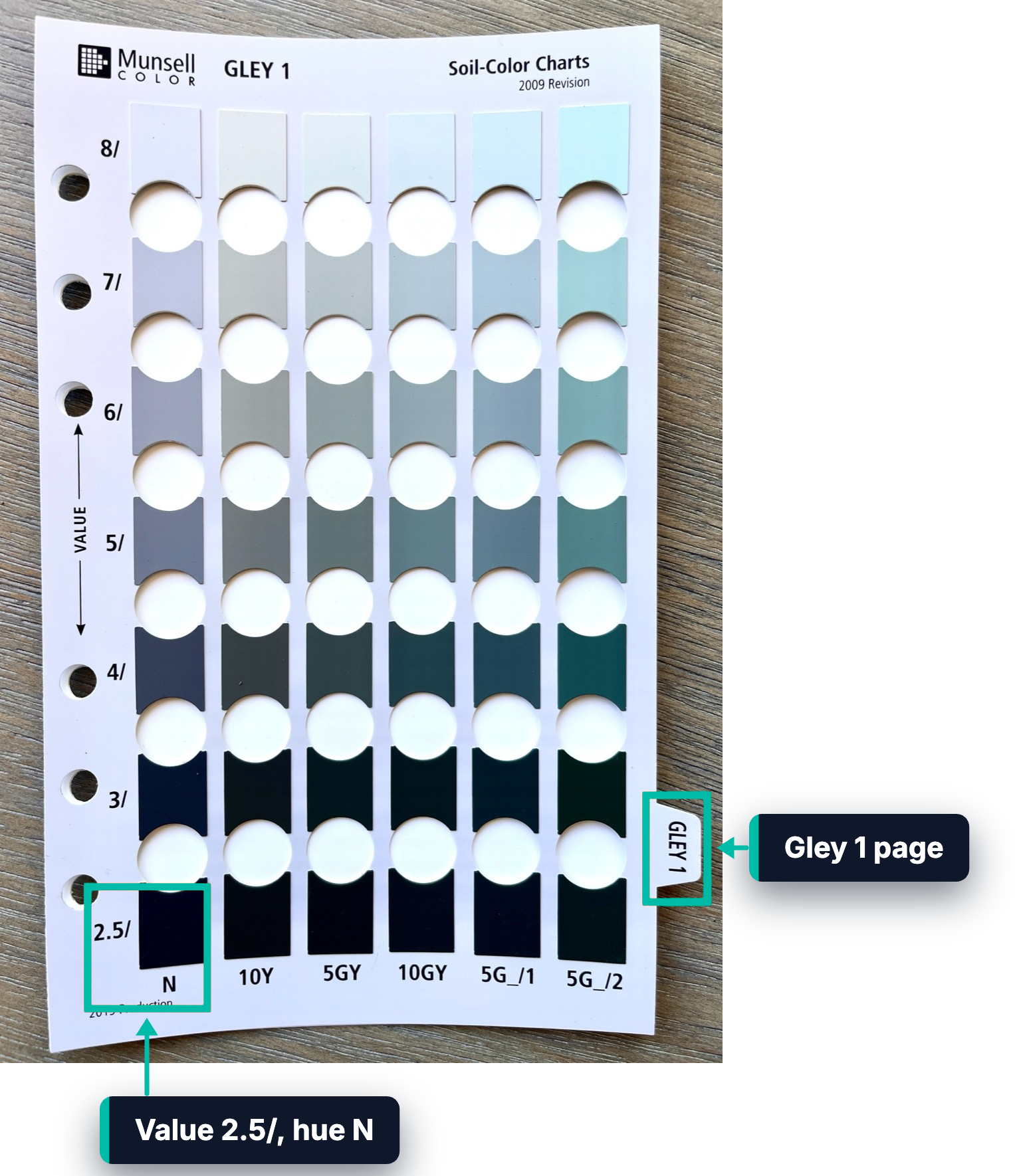 The Gley 1 page of a Munsell Soil Color Book, with the 2.5/ value and N hue chip and the Gley 1 tab highlighted