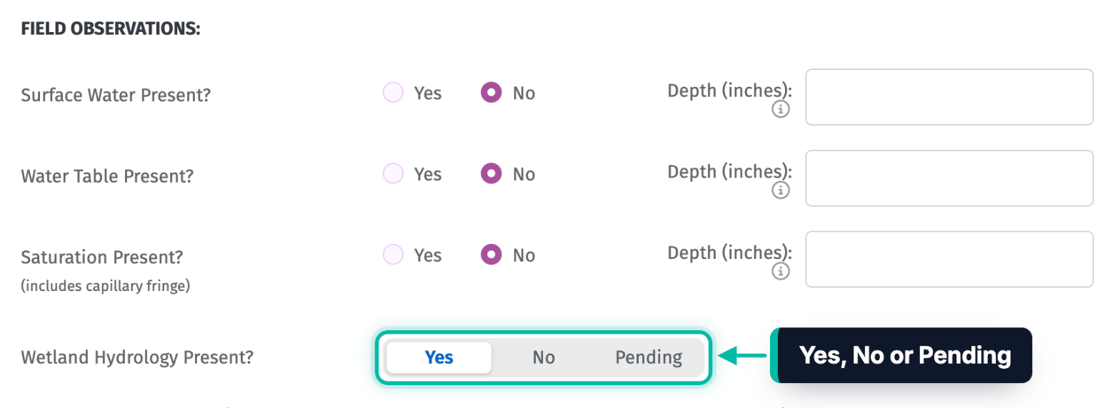 The Hydrology tab of a point in Ecobot Manager, with Wetland Hydrology Present? set to Yes, No or Pending highlighted